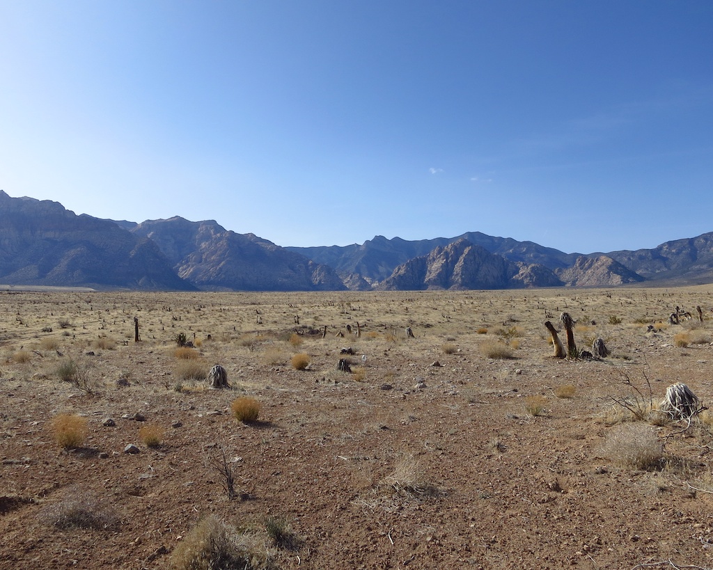Red Rock Canyon, Just Outside of Las Vegas, Nevada