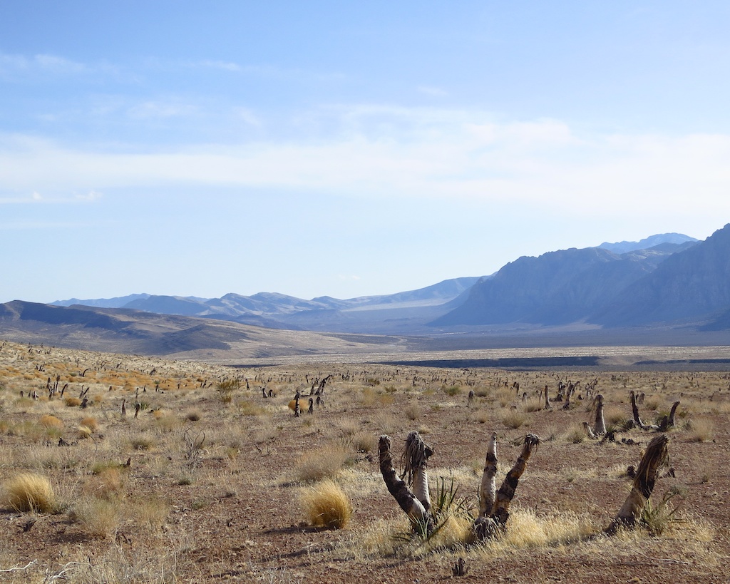 Red Rock Canyon, Just Outside of Las Vegas, Nevada