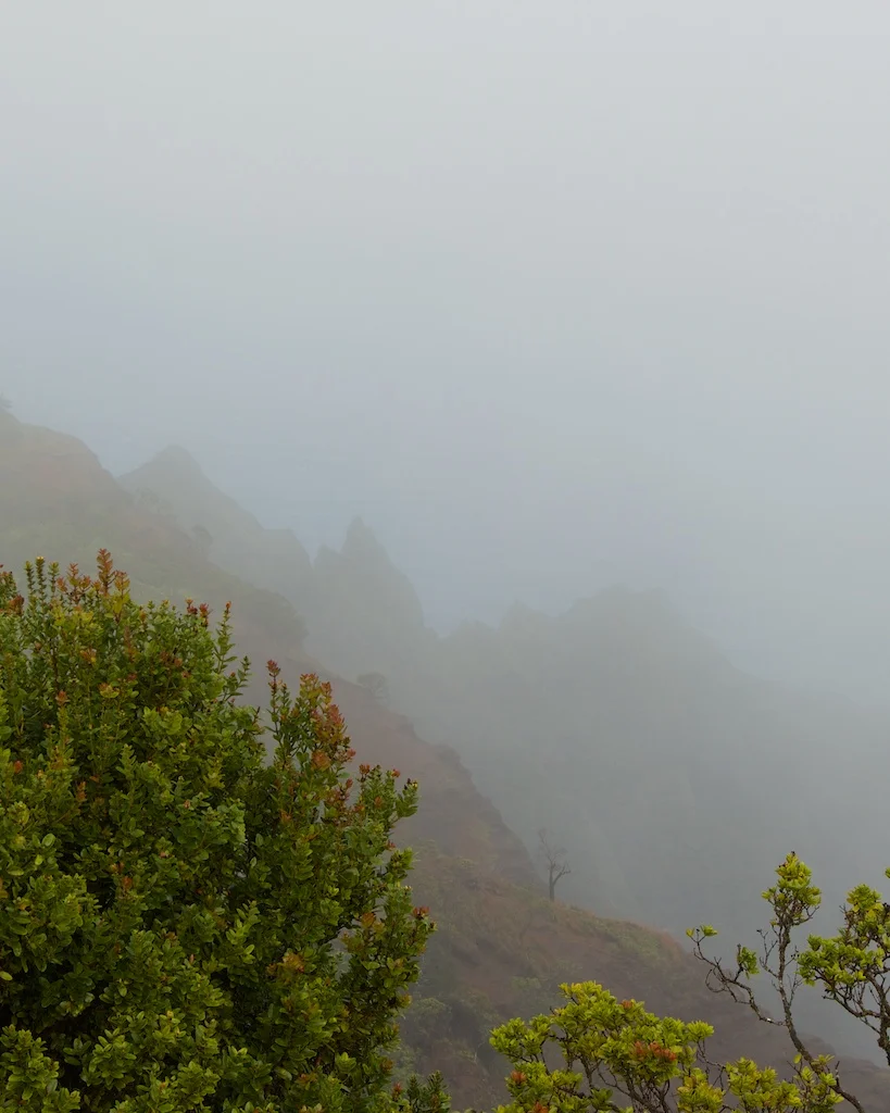 One Day Itinerary Exploring Kauai's South Shore — Adina Marguerite