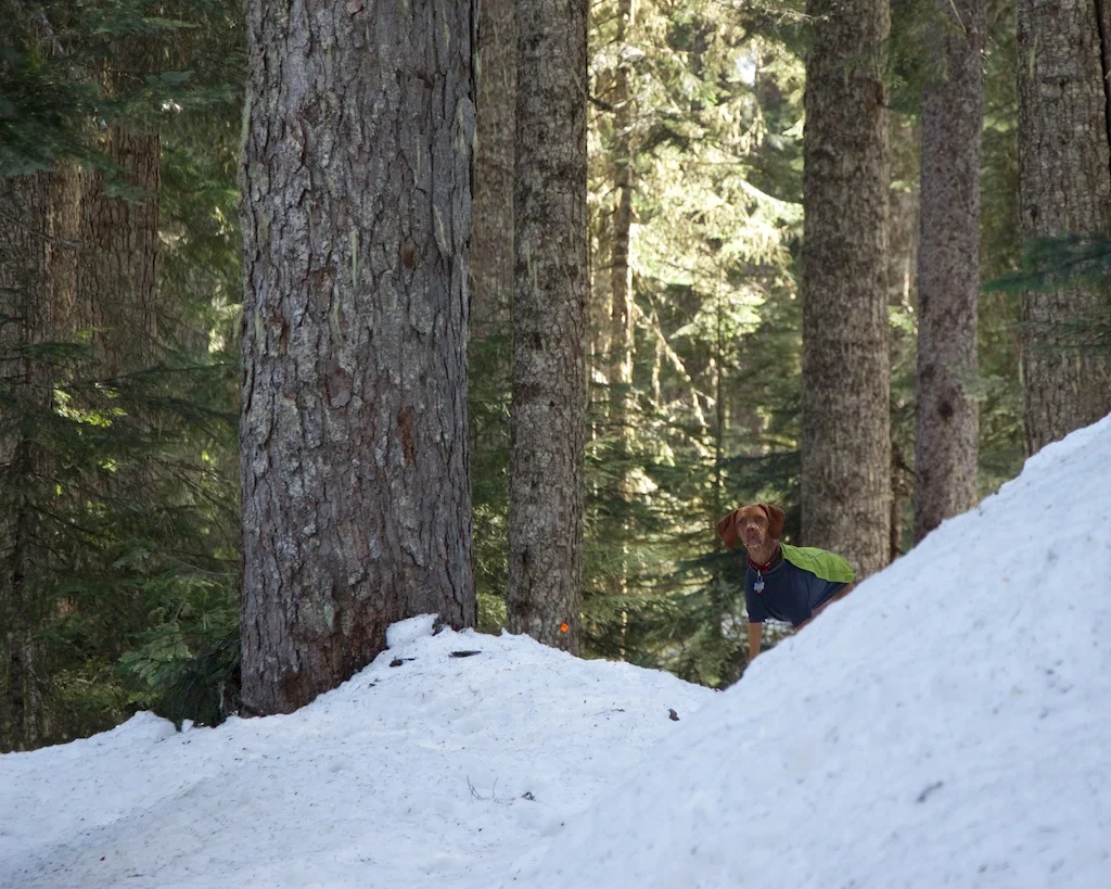 Joffre Lakes Provincial Park