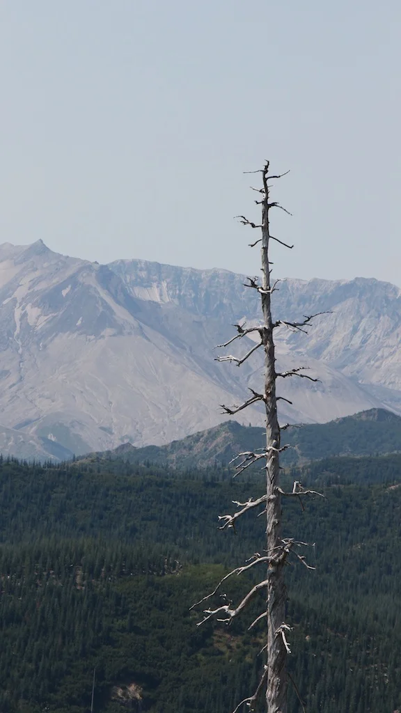 Photo Essay: Visiting The Mount St. Helens National Volcanic Monument