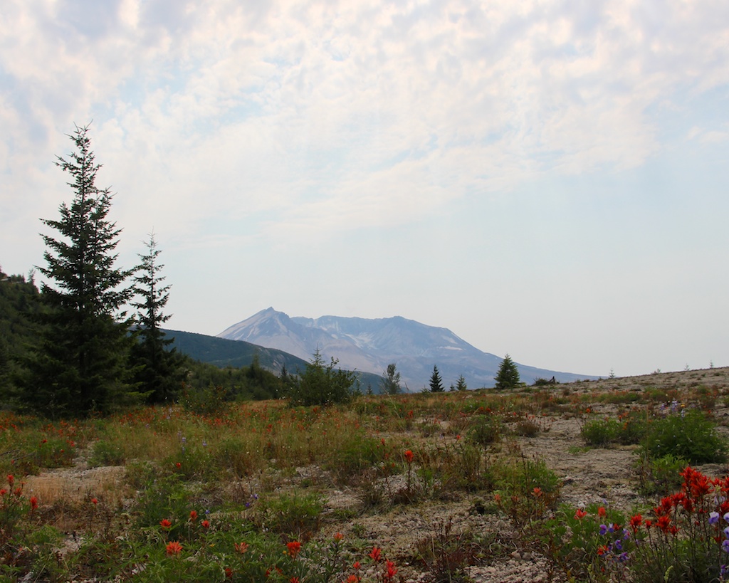 Harmony Trailhead at Mount St. Helens National Volcanic Monument