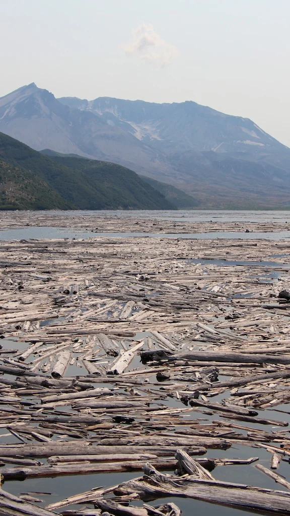 Hike the Harmony Trail in Mount St. Helens National Volcanic Monument