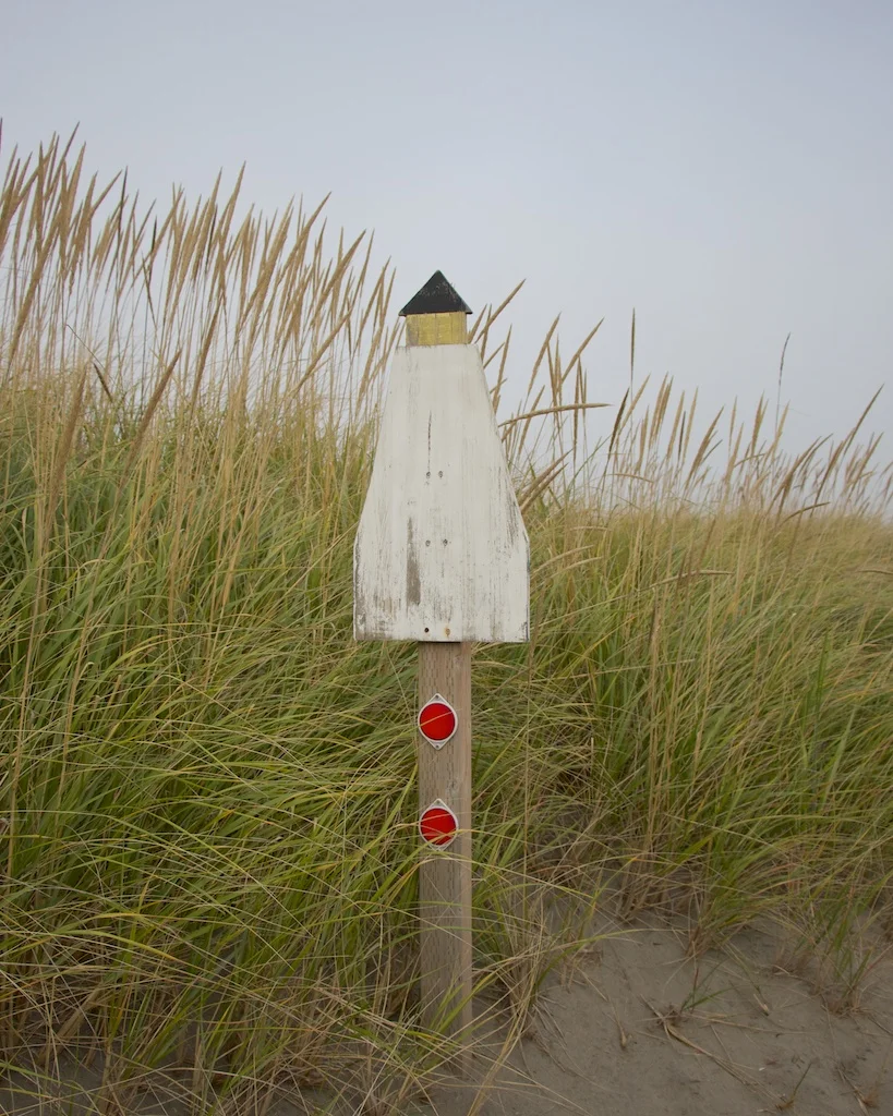 Photo Essay: A Foggy Walk In Long Beach, Washington