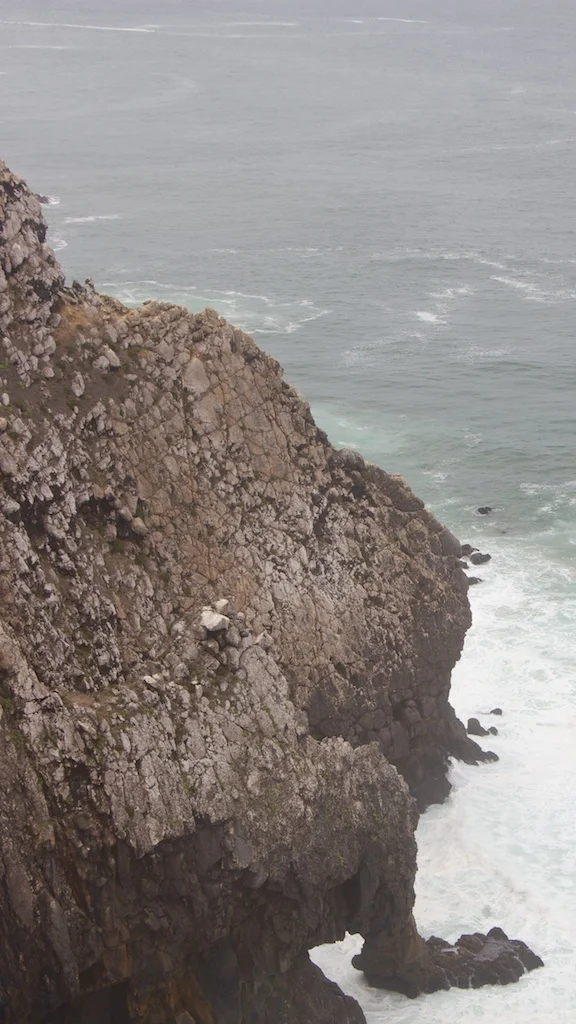 Searching For Dinosaur Footprints Above Praia Grande