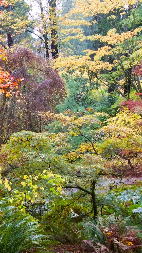 A Perfect Fall Day In Seattle