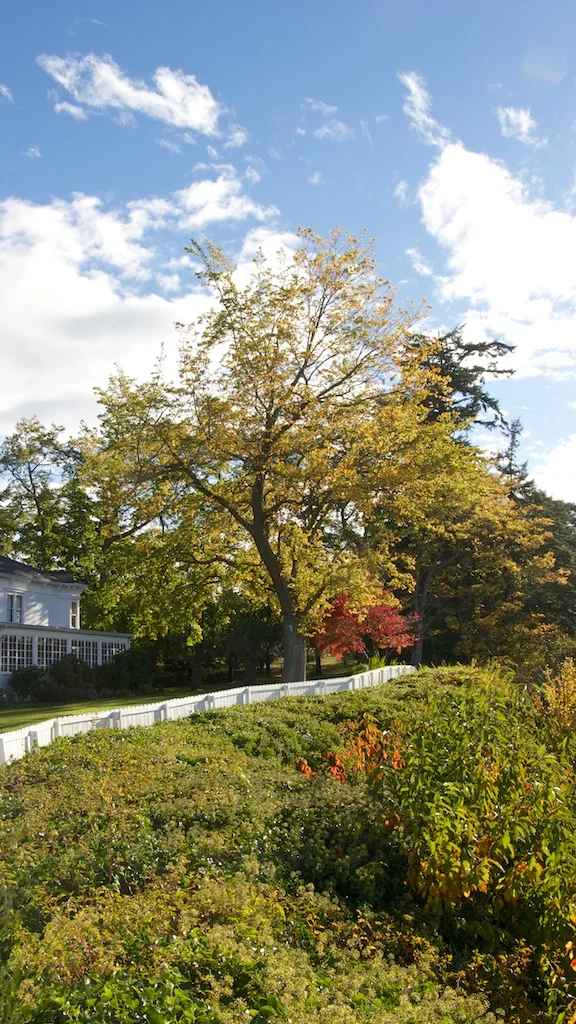 Stay: Chevy Chase Beach Cabins in Port Townsend, Washington