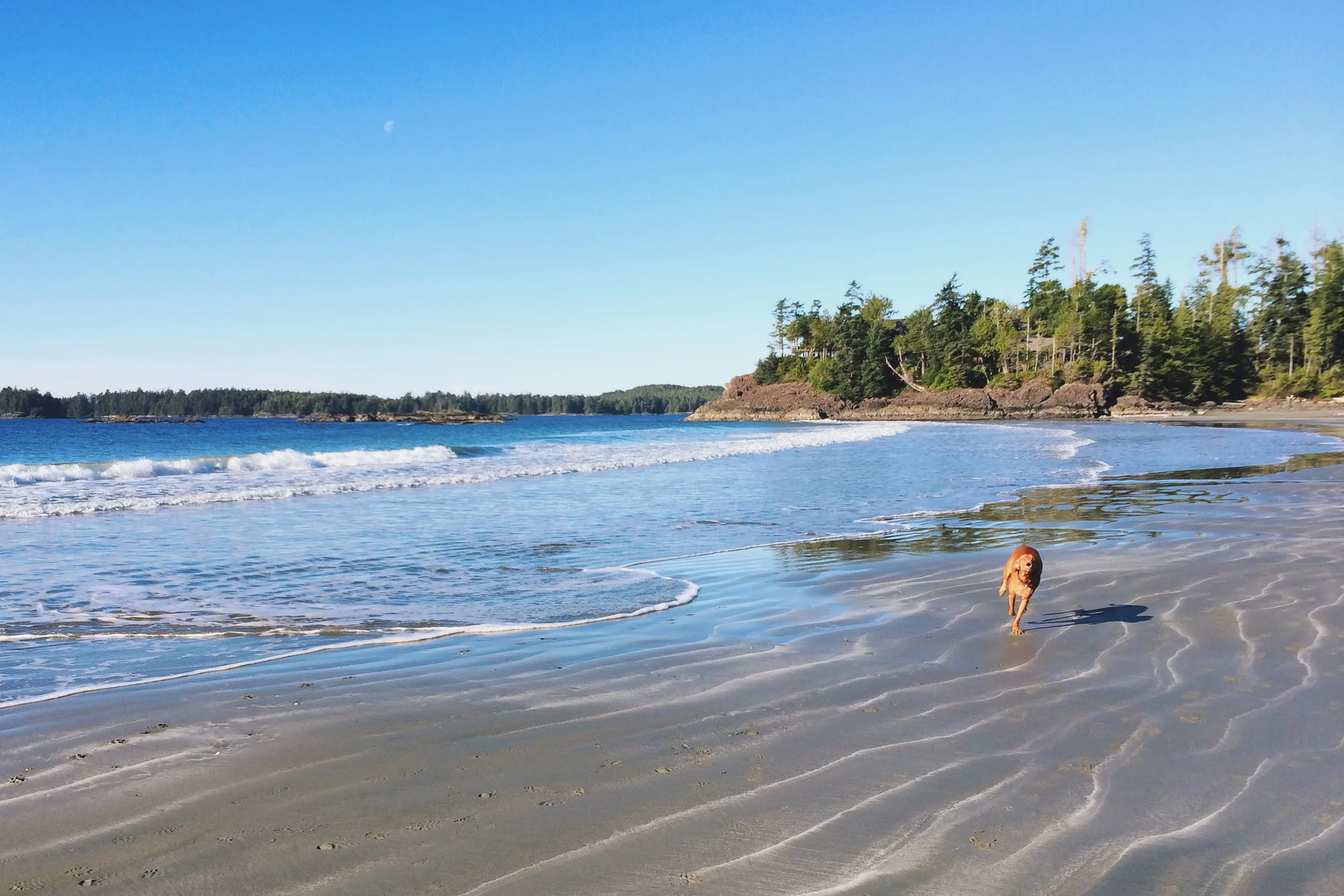 3 Days in Tofino Via Instagram