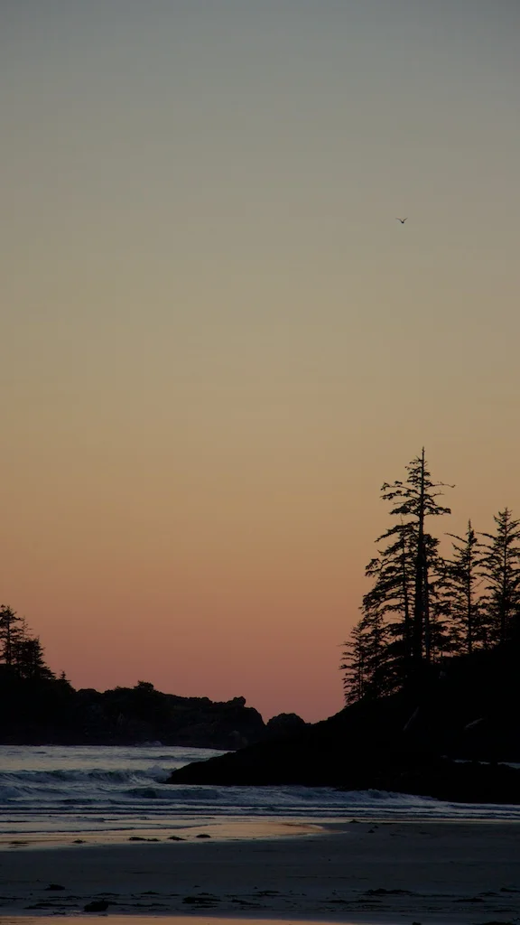 Trip Video: Tofino, British Columbia