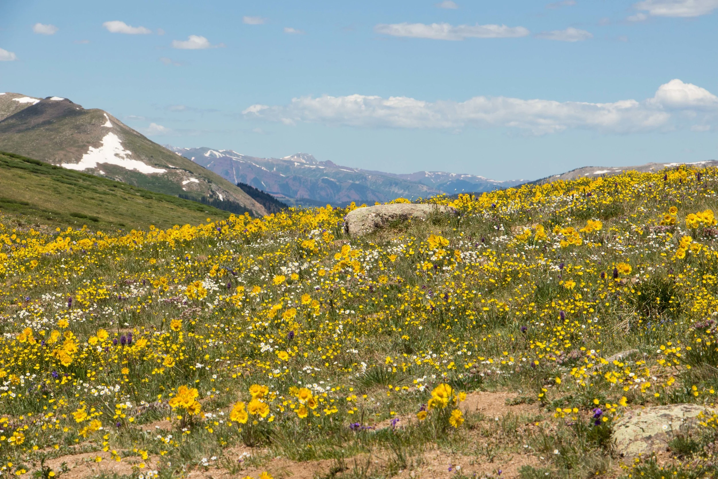 Colorado-14.jpg