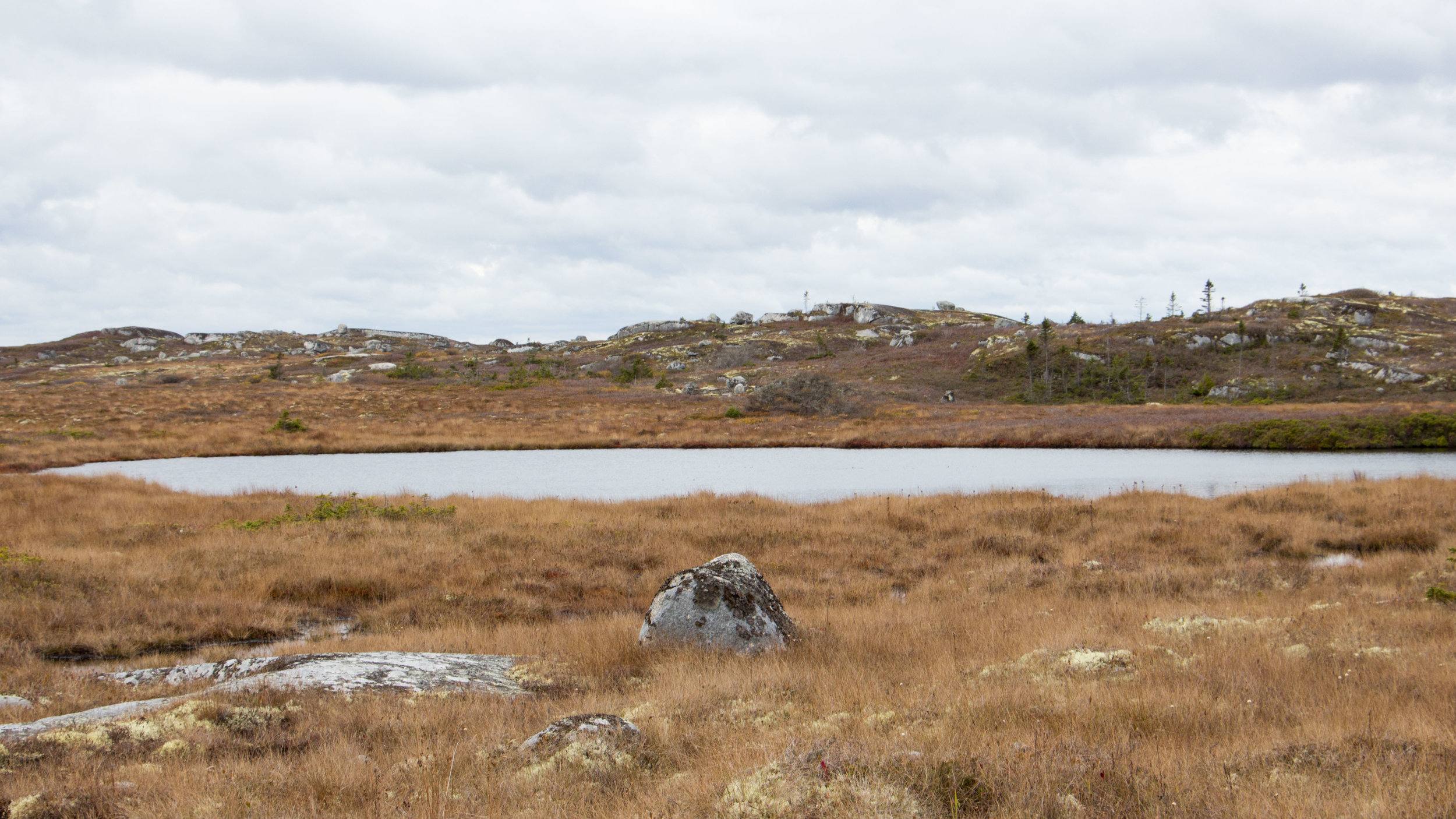 NovaScotia-1.jpg