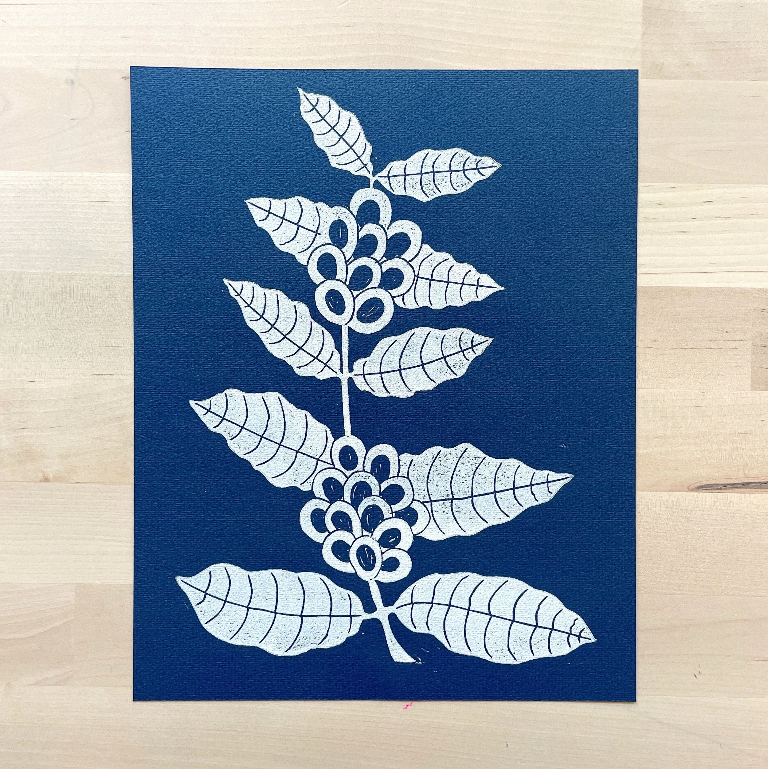 Coffea Arabica on Navy