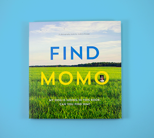 momo_cover.png