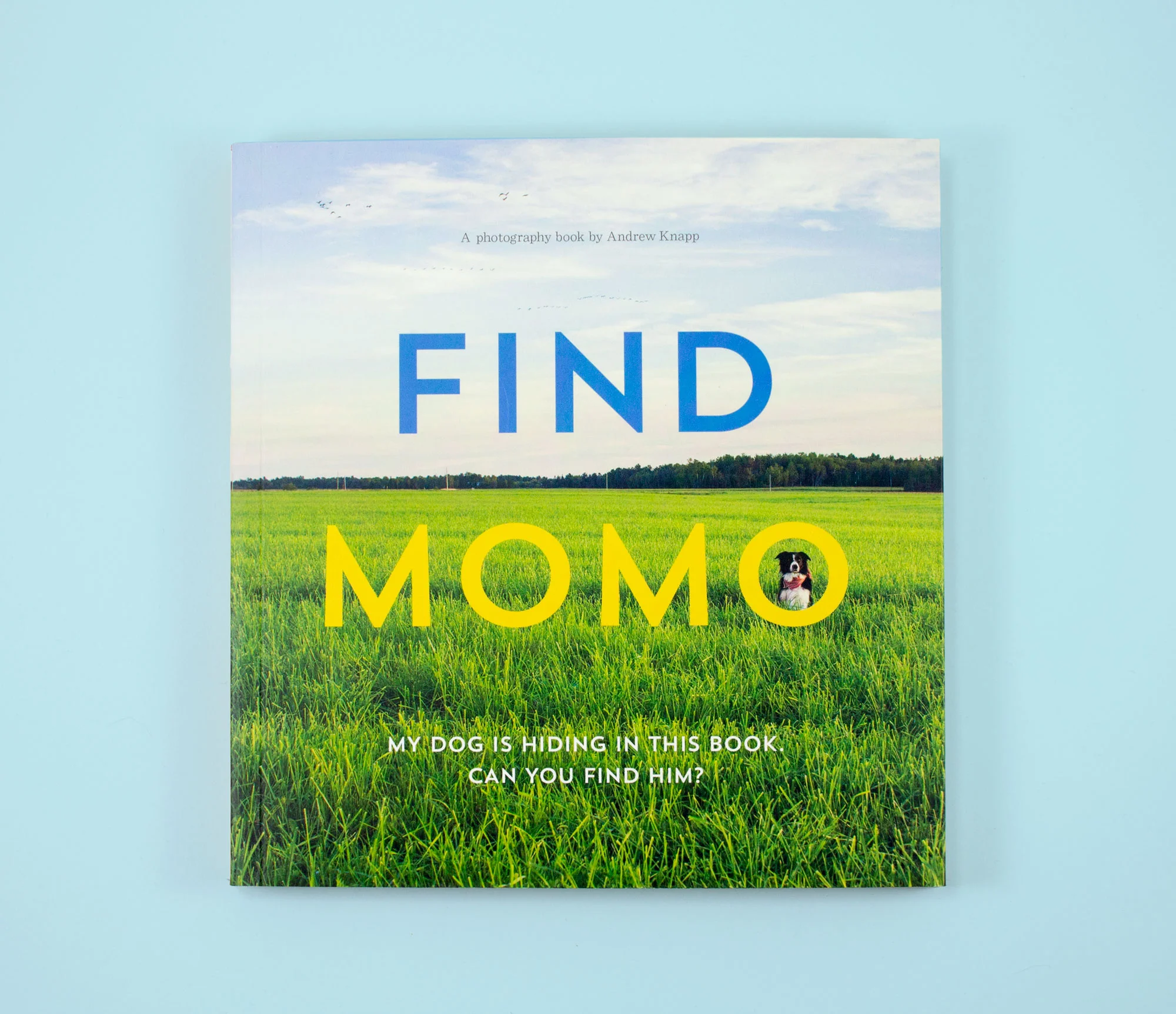 momo_cover_lgweb.jpg