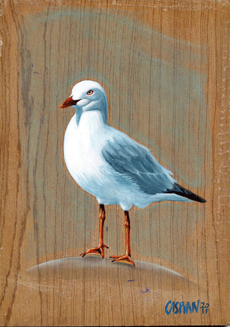 Gary the Seagull