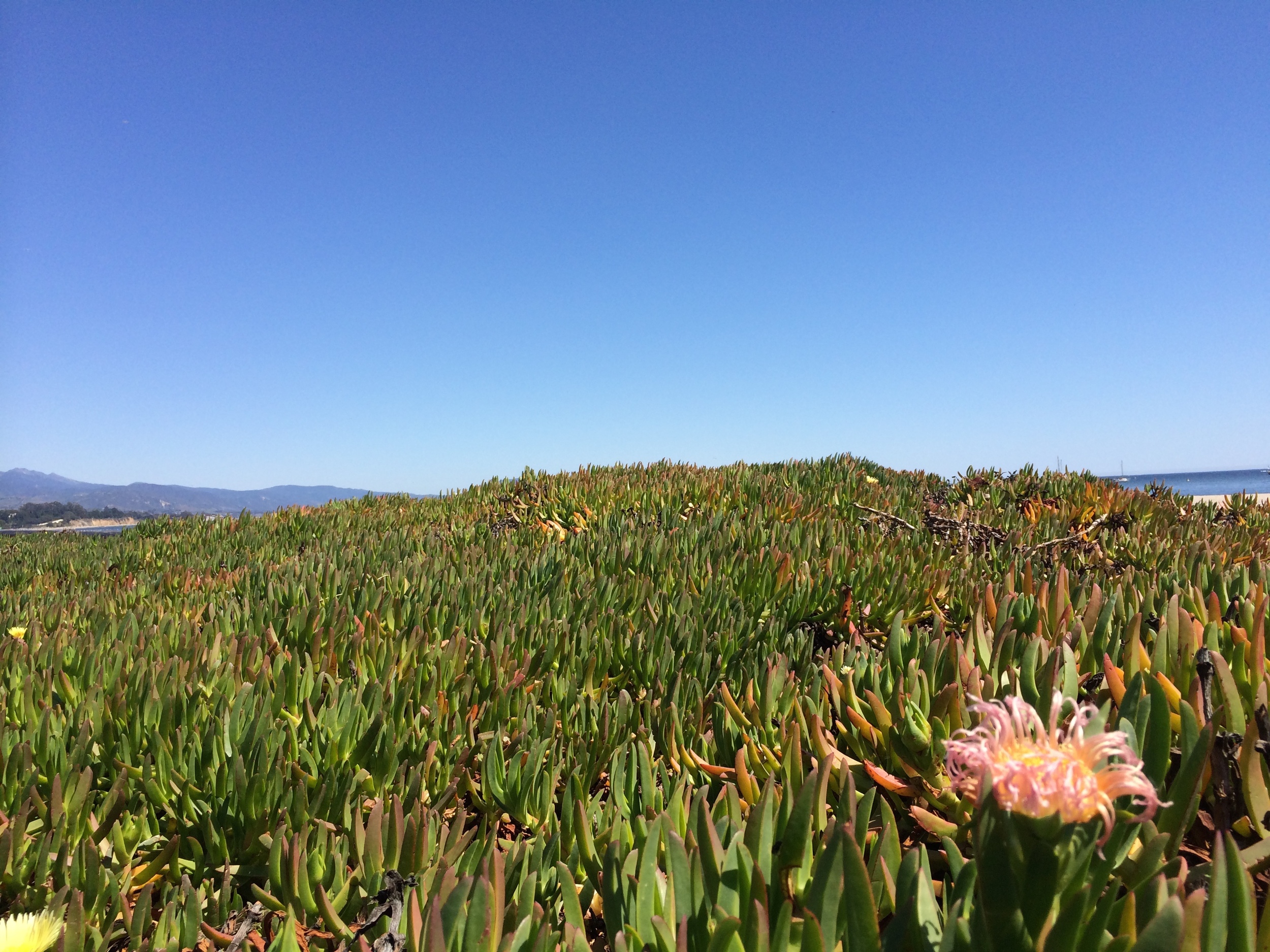 Spring growing closer on the Pacific Coast.