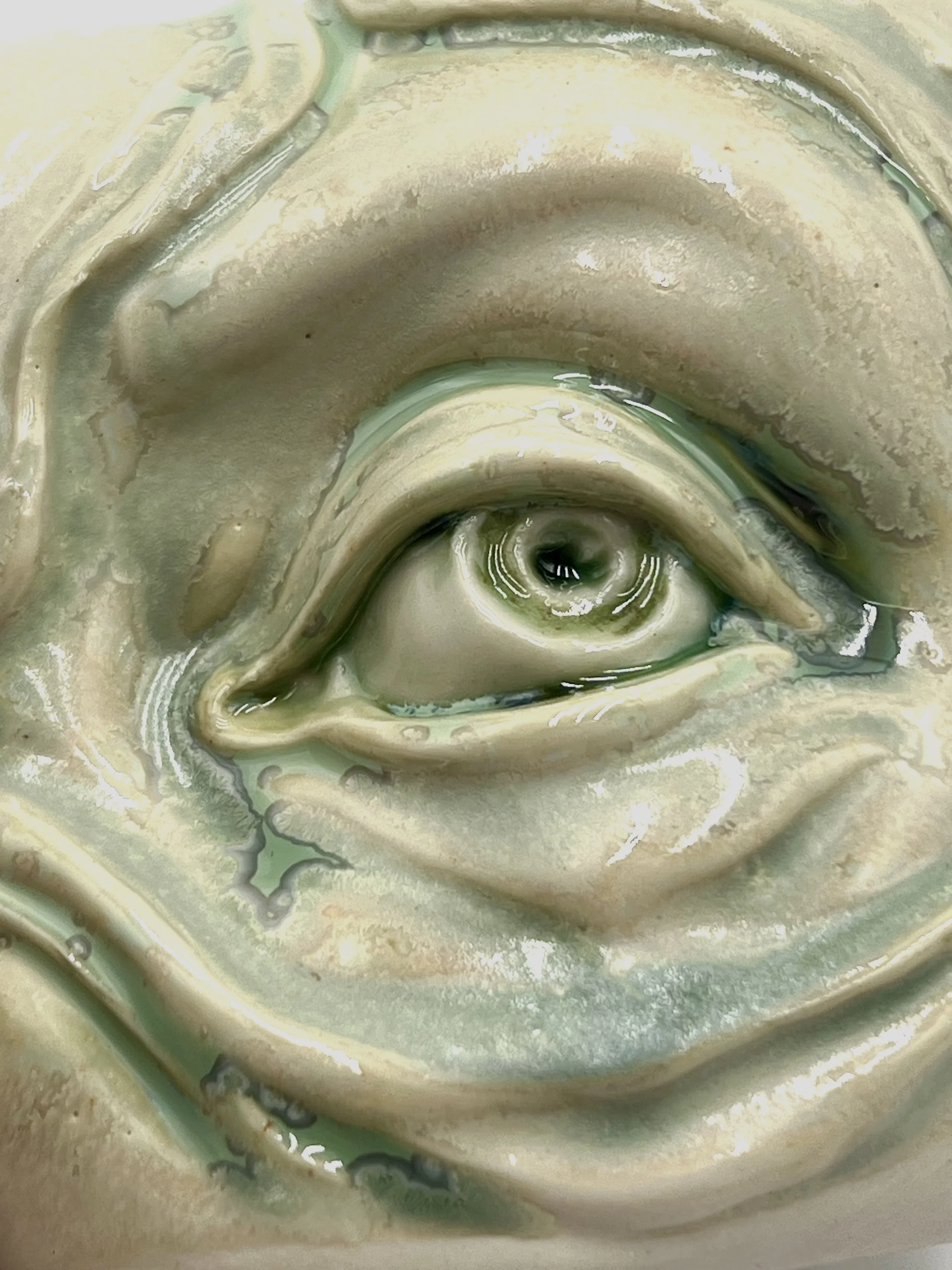 lichen eye spy 2.jpg