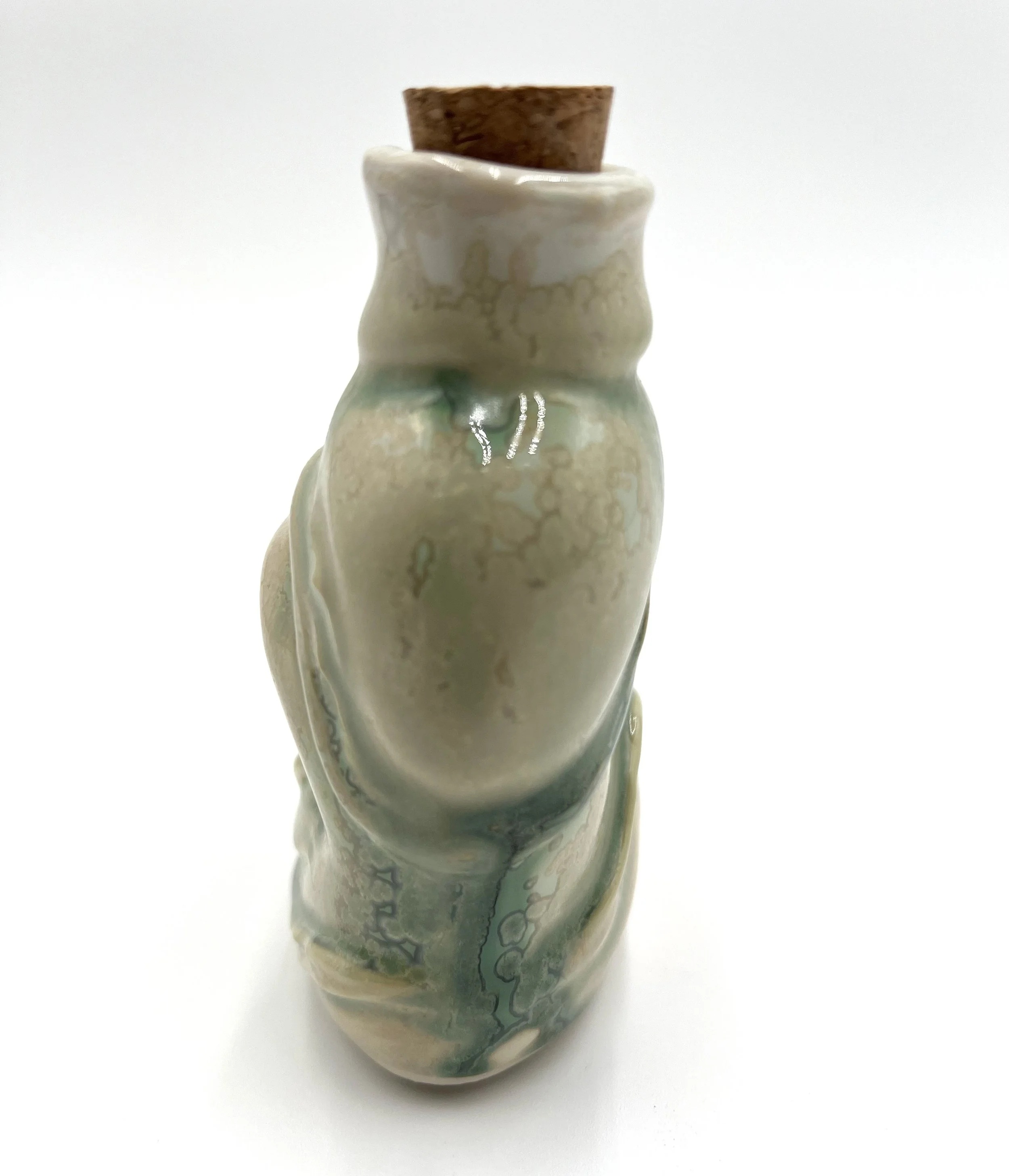 lichen eye spy 4.jpg