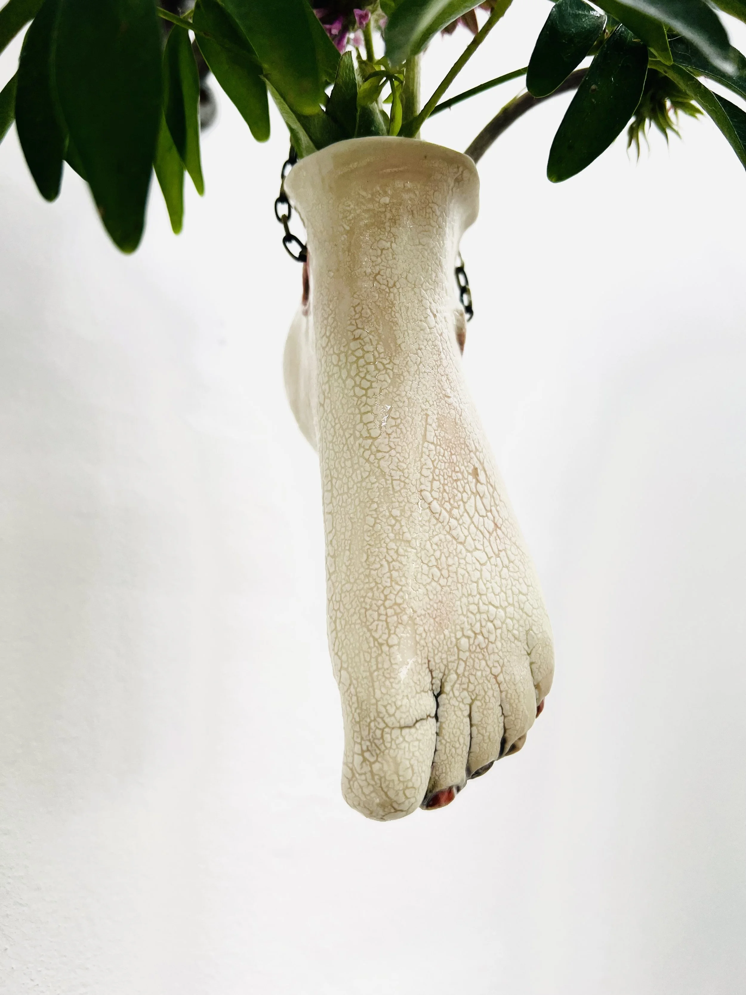 creamy crawl left foolt planter_02.jpg