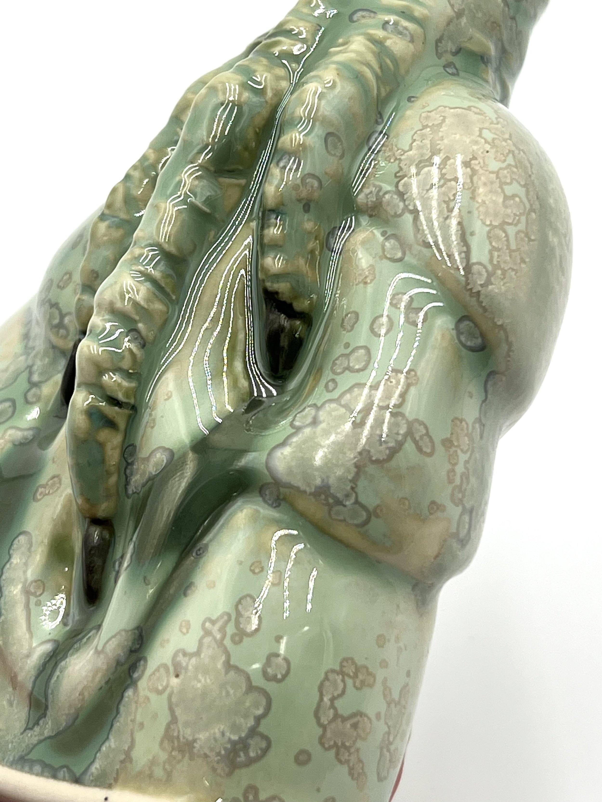 Lichen claw  crystalline 9.jpg