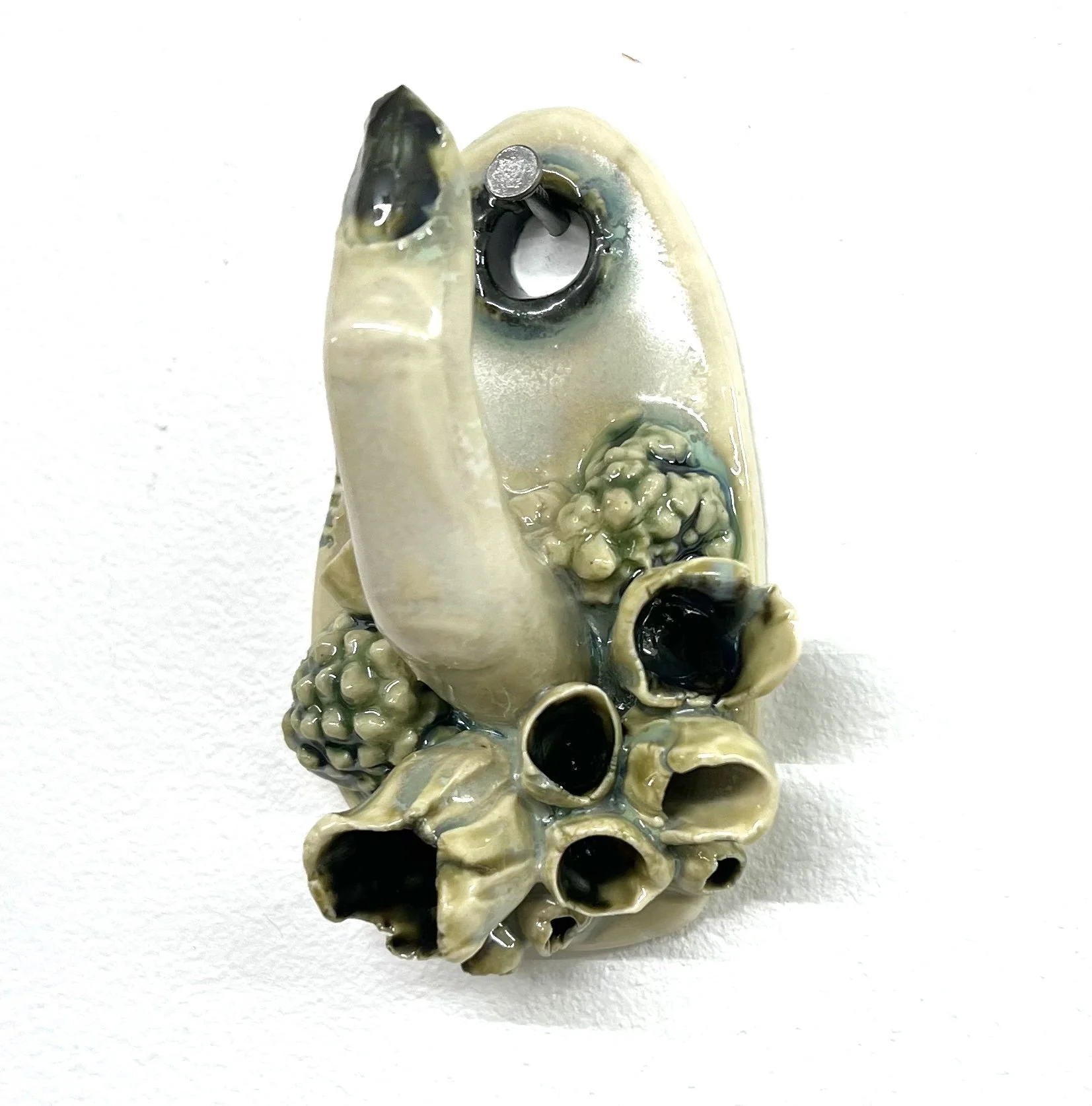 Lichen finger hook 07.jpg