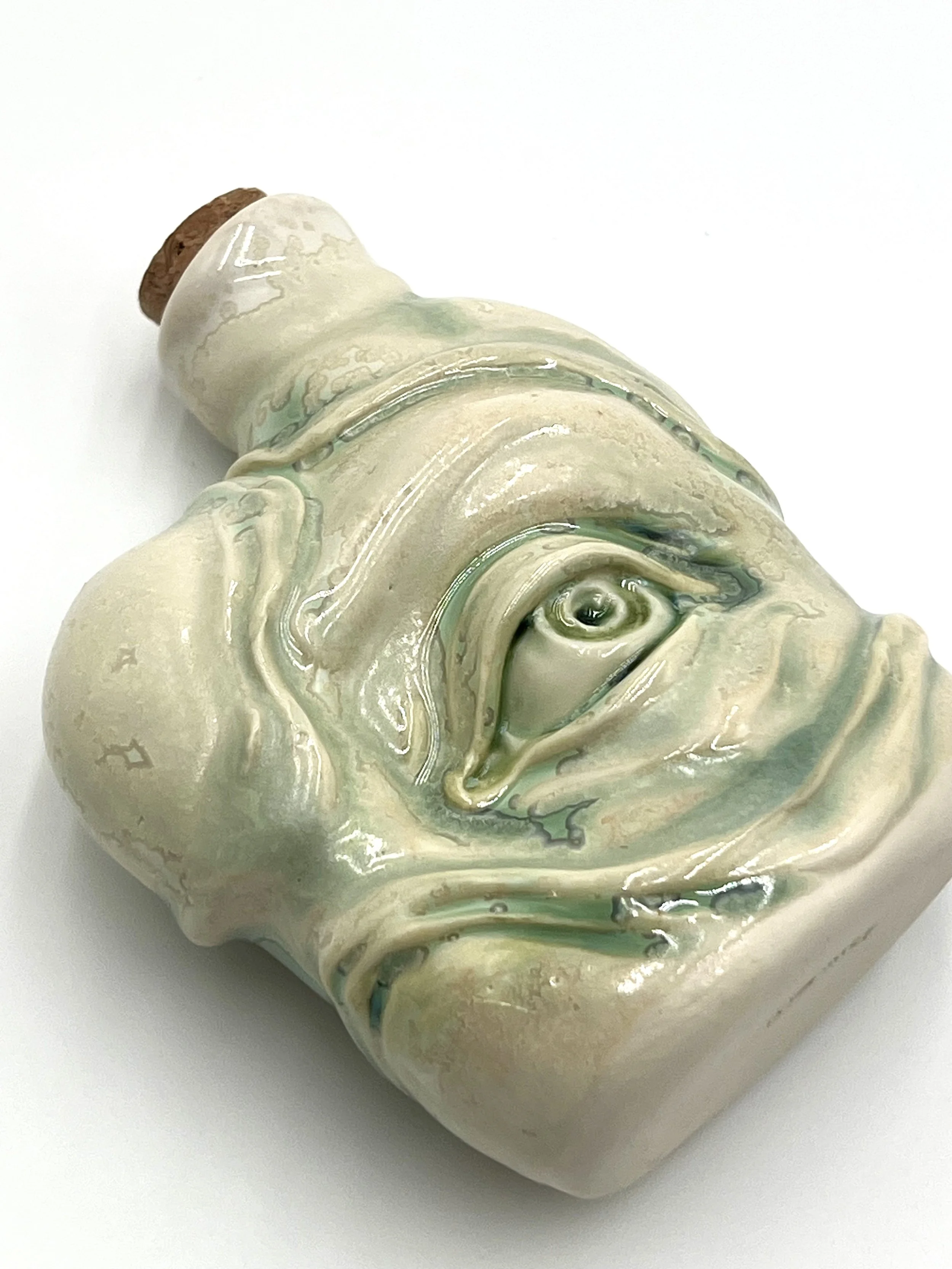 lichen eye spy 11.jpg