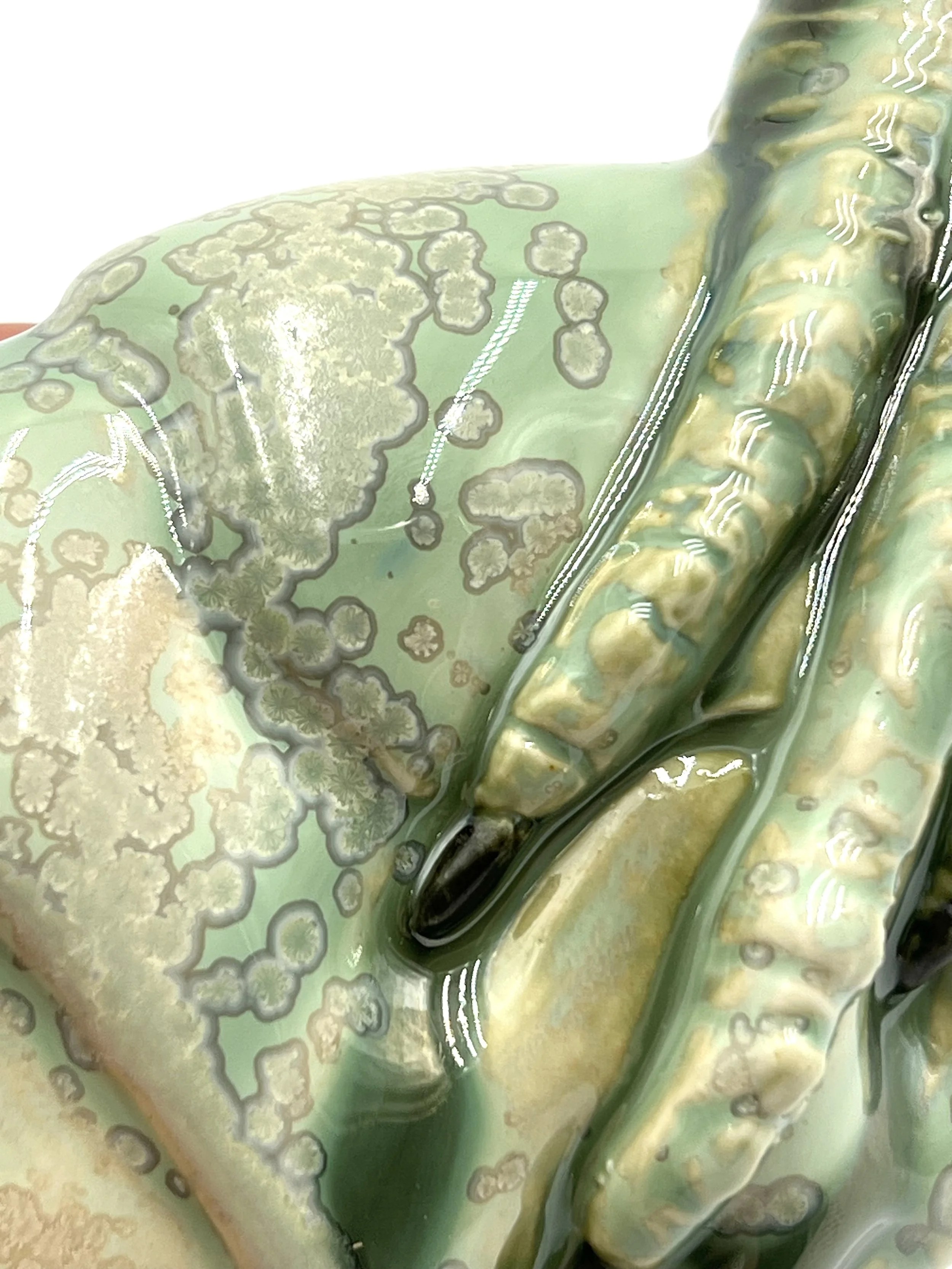 Lichen claw  crystalline 8.jpg