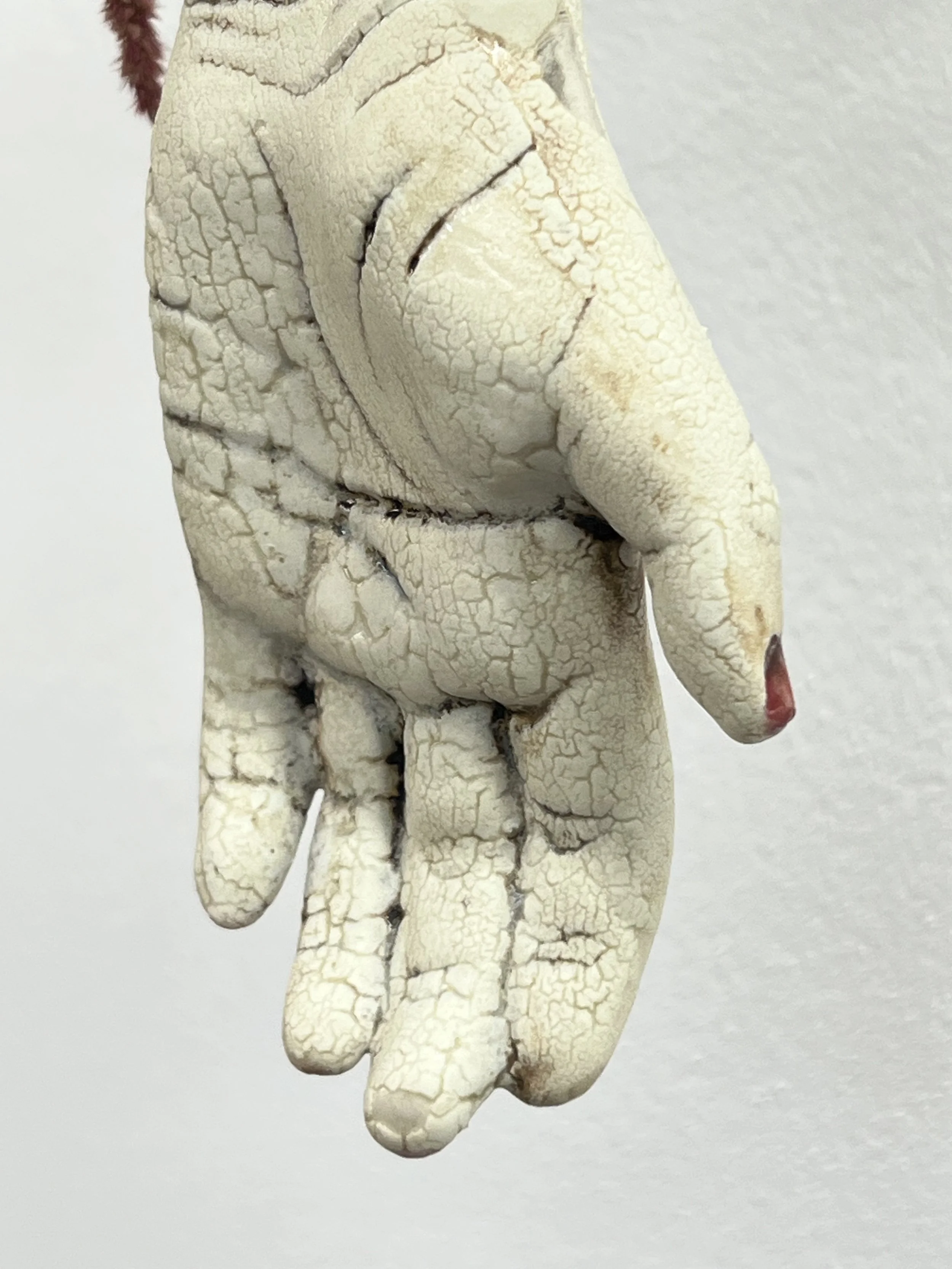 left frawl small 1 .jpg