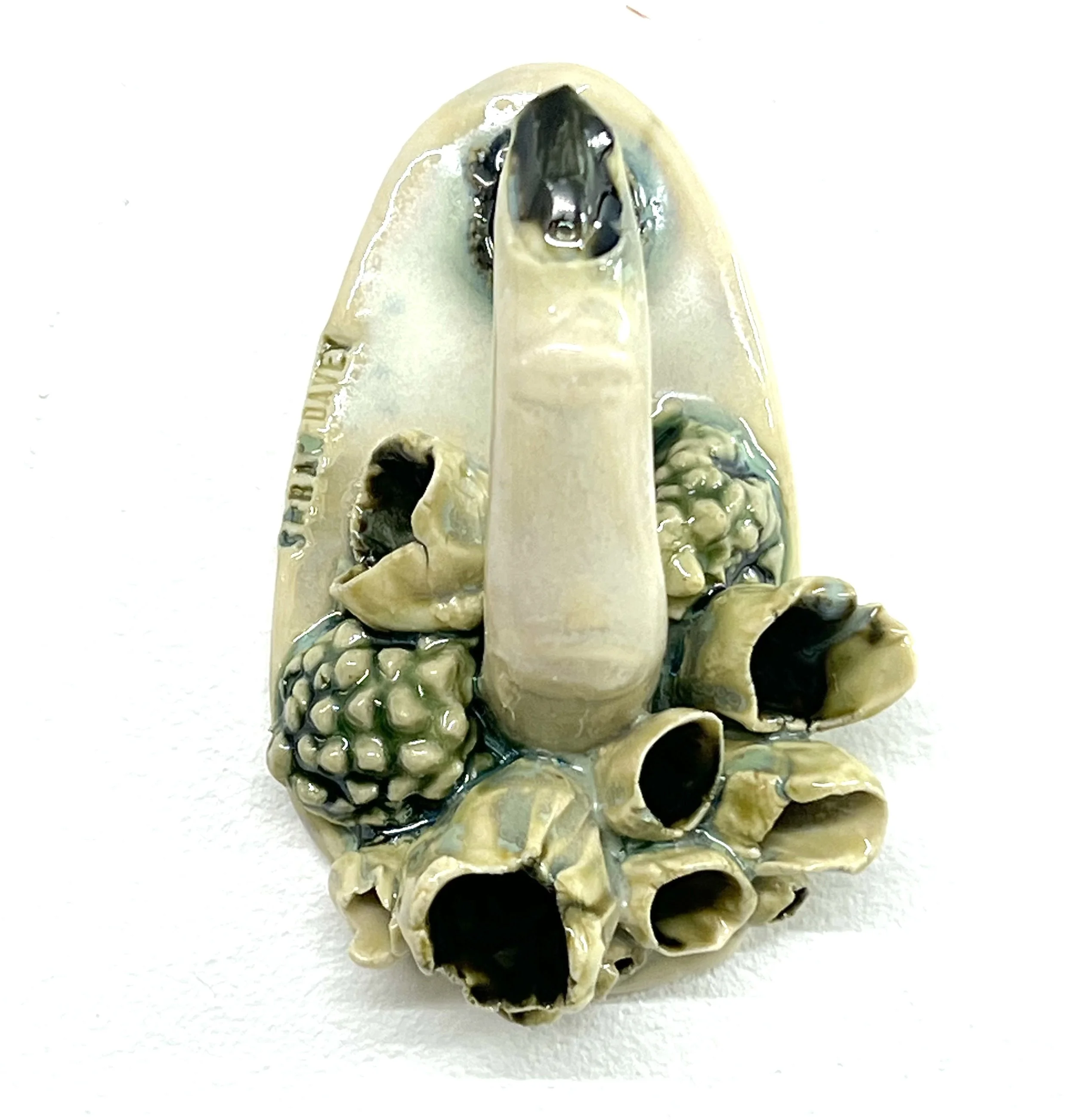 Lichen finger hook 04.jpg