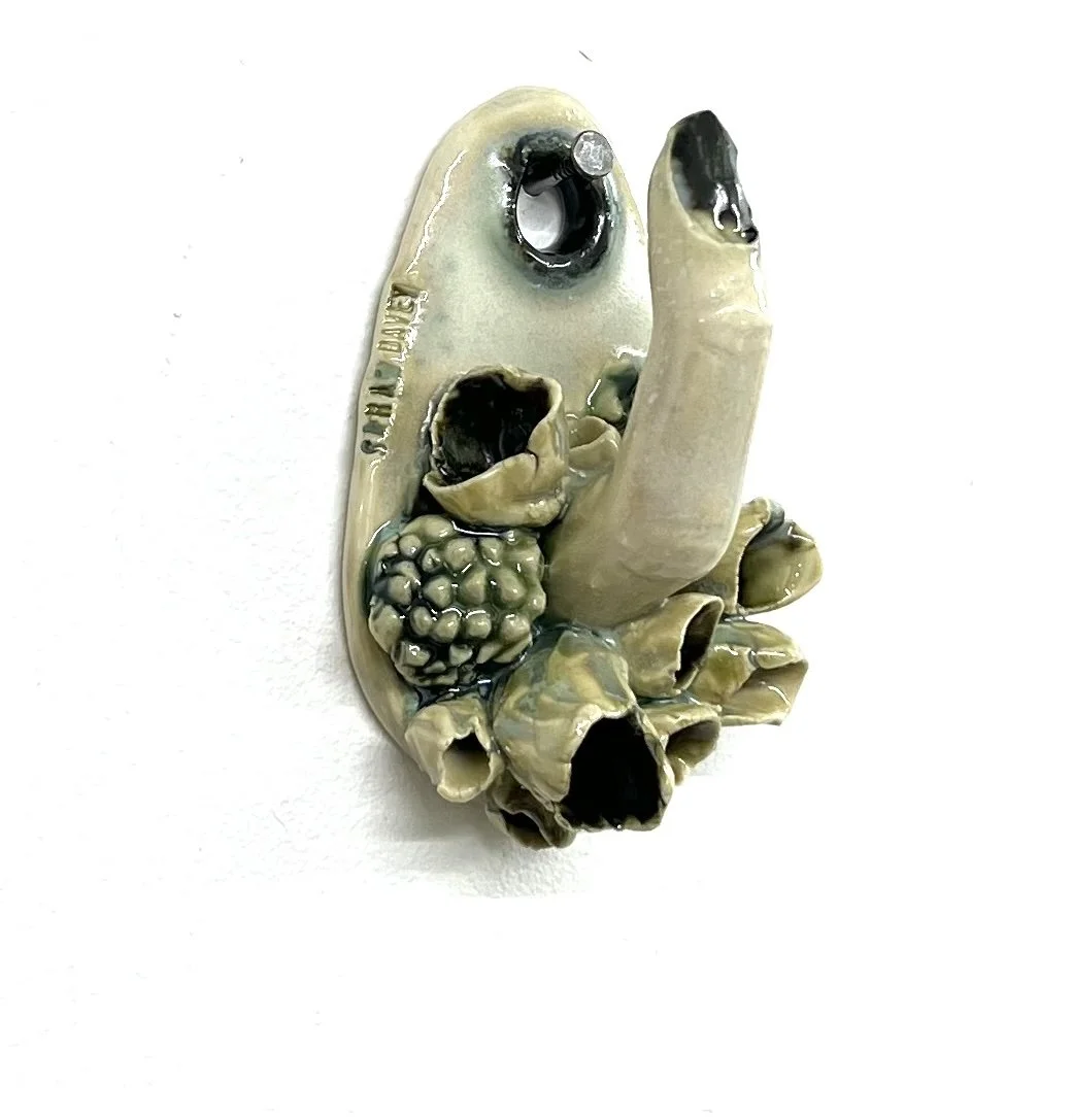 Lichen finger hook 02.jpg