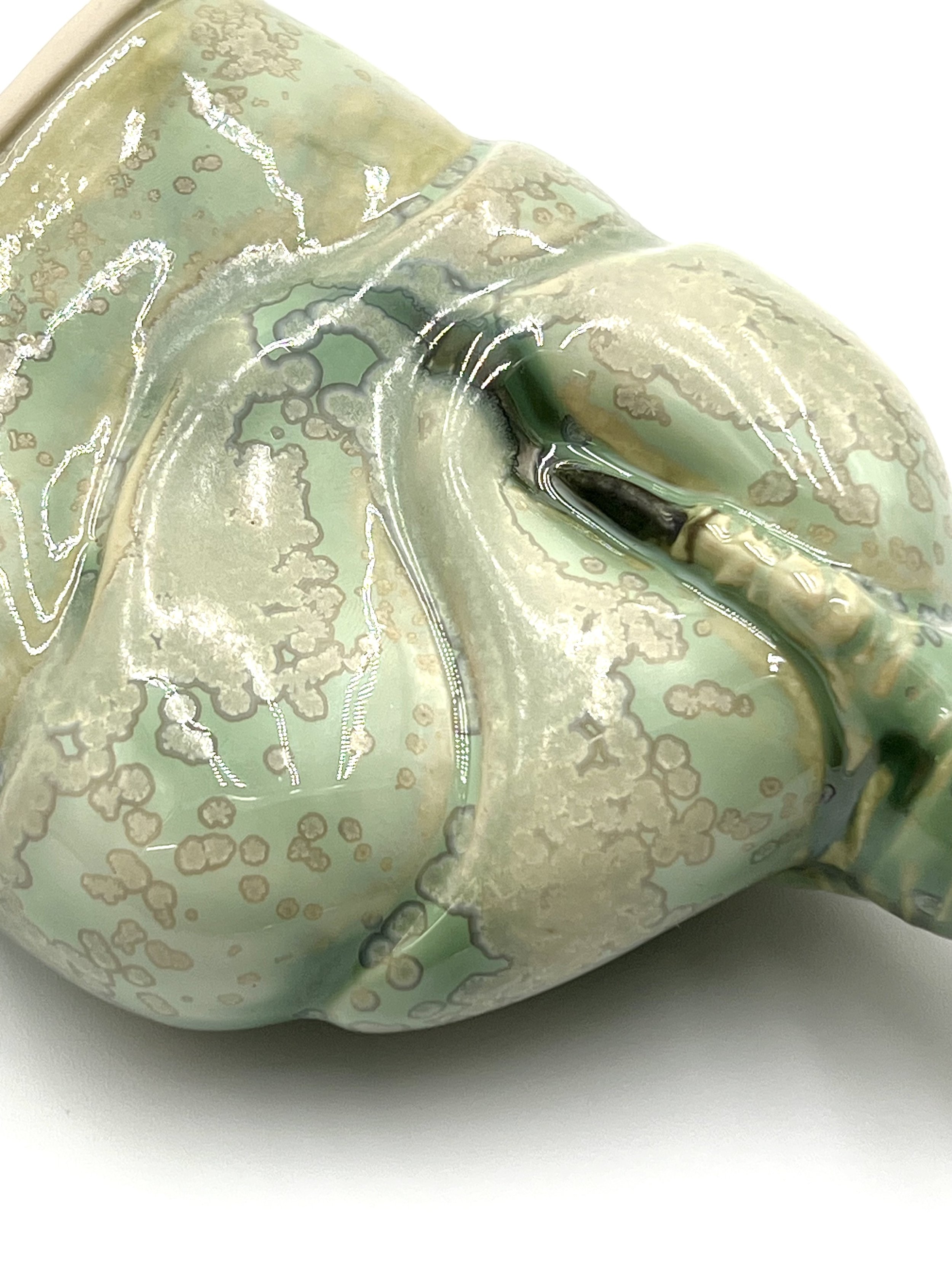 Lichen claw  crystalline 10.jpg