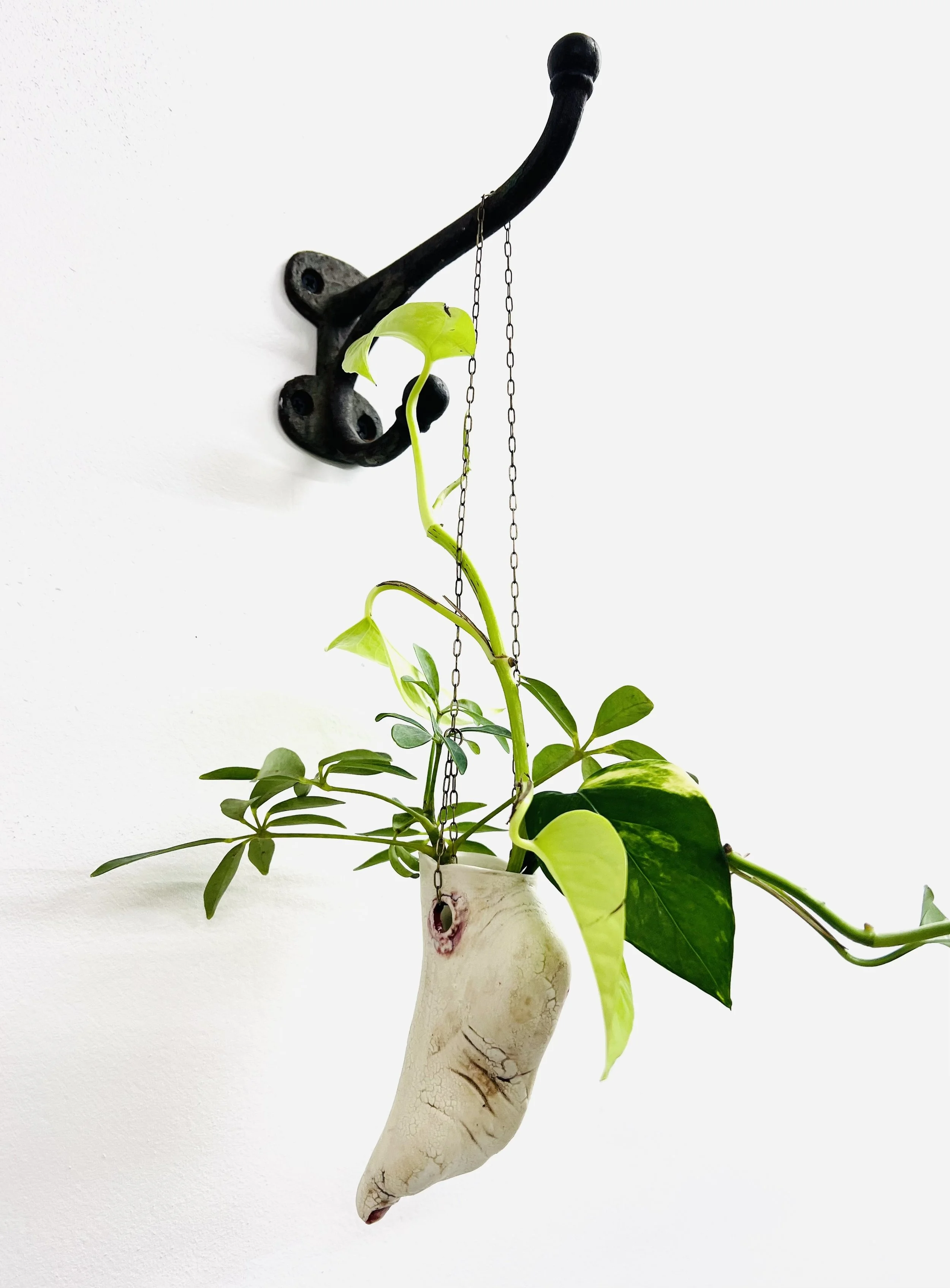 crackle small r foot 3.jpg