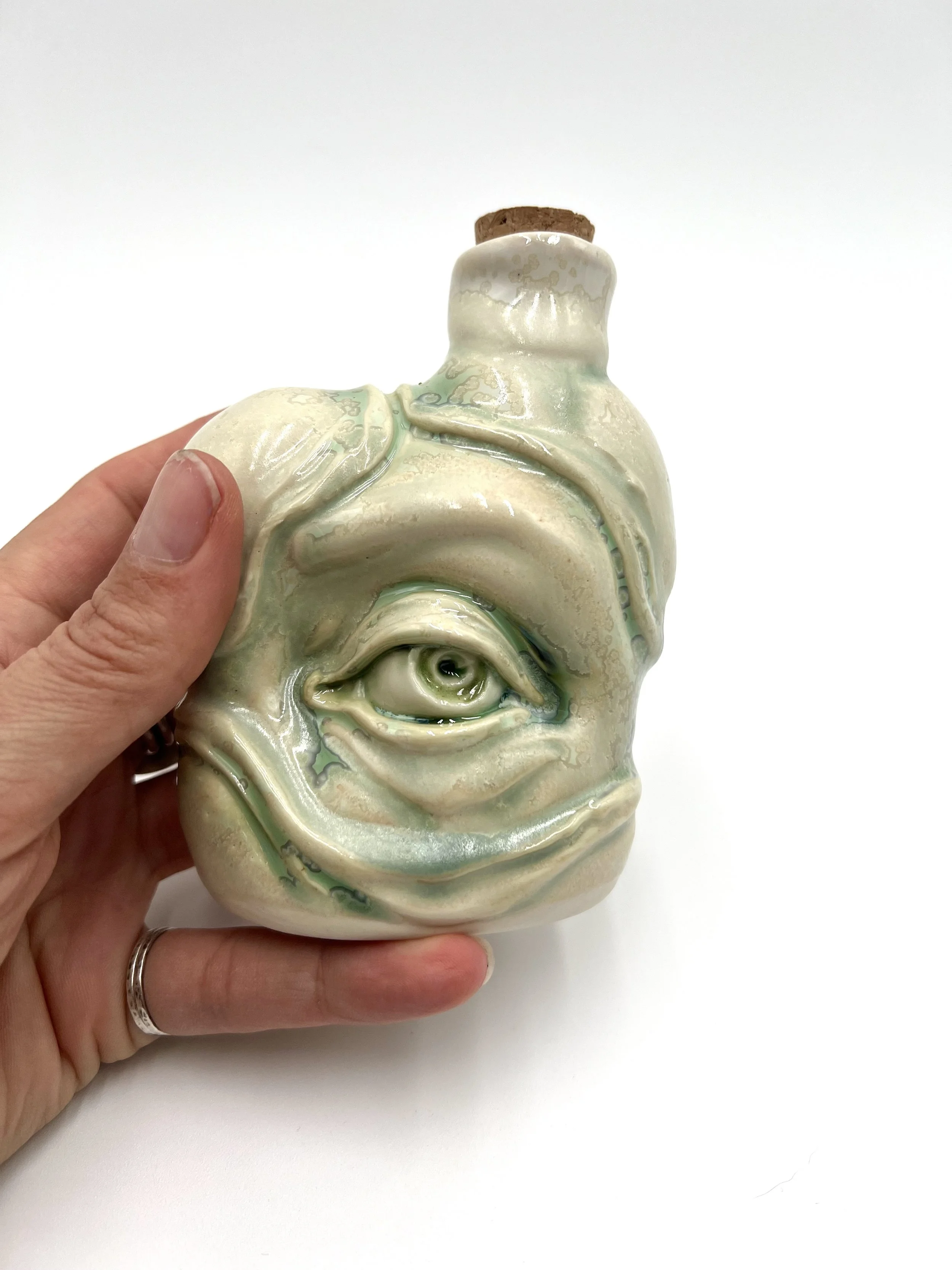 lichen eye spy 6.jpg