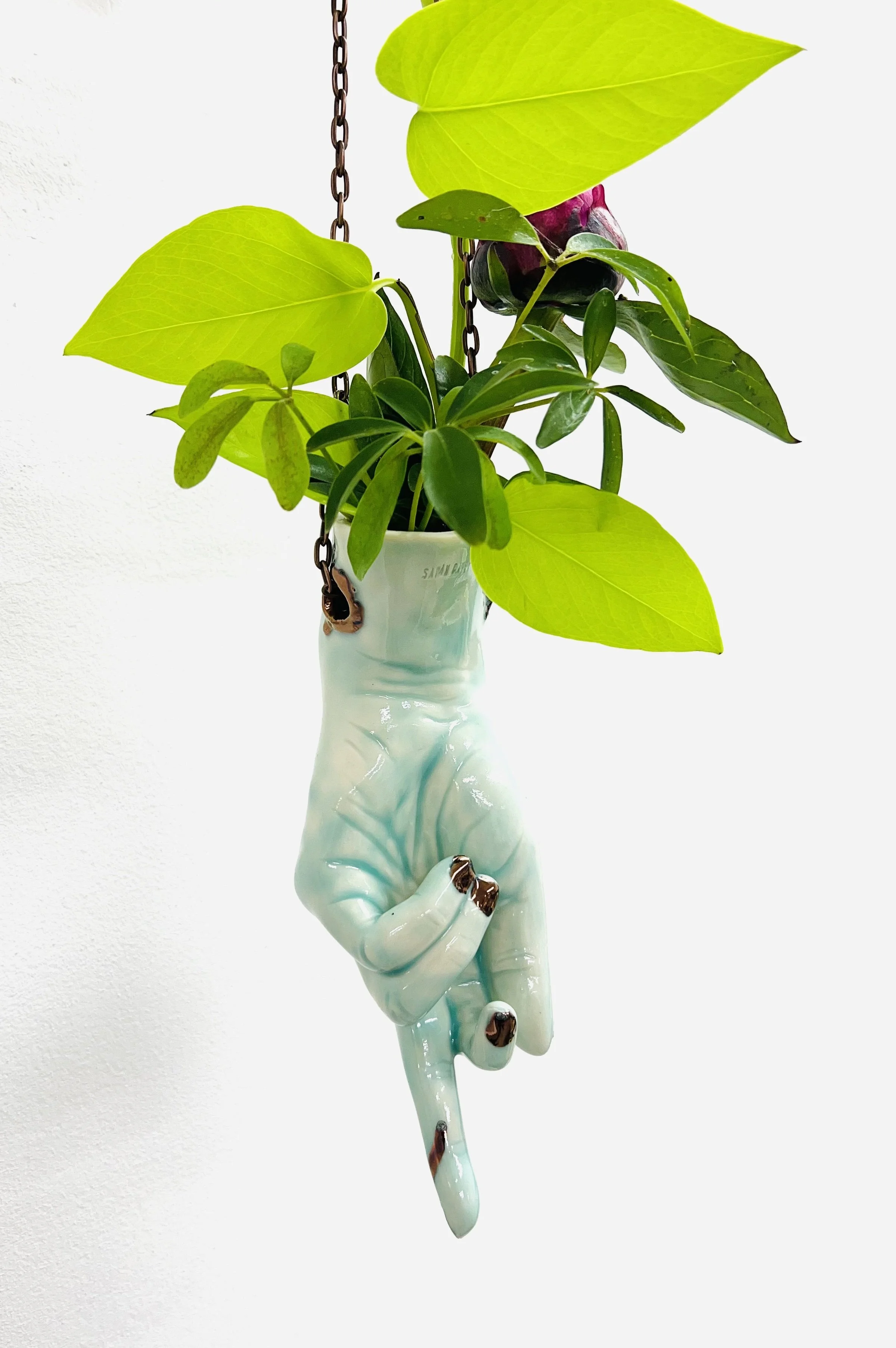 teal middle finger right 2.jpg