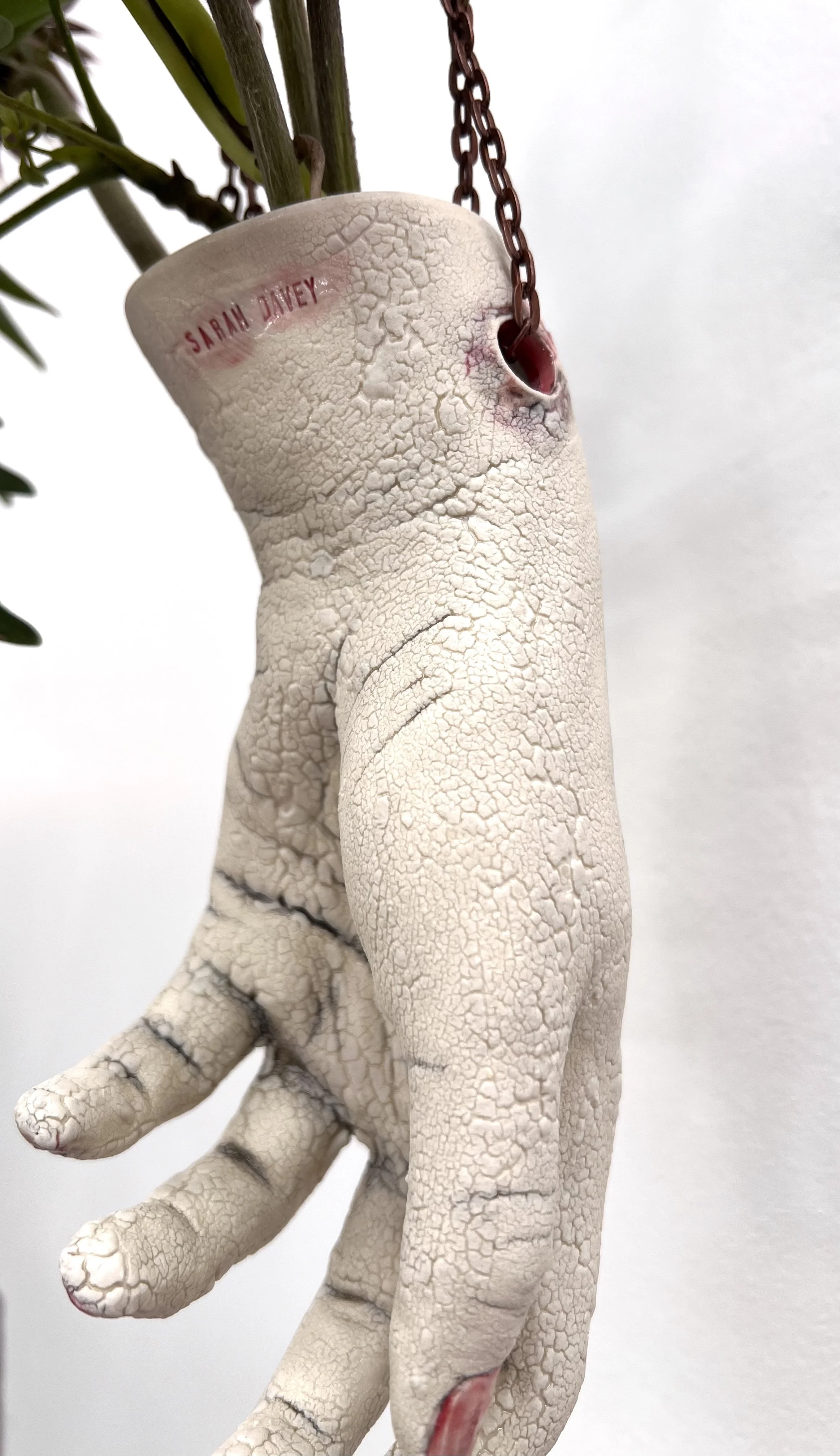 curled crawl right hand_07.jpg