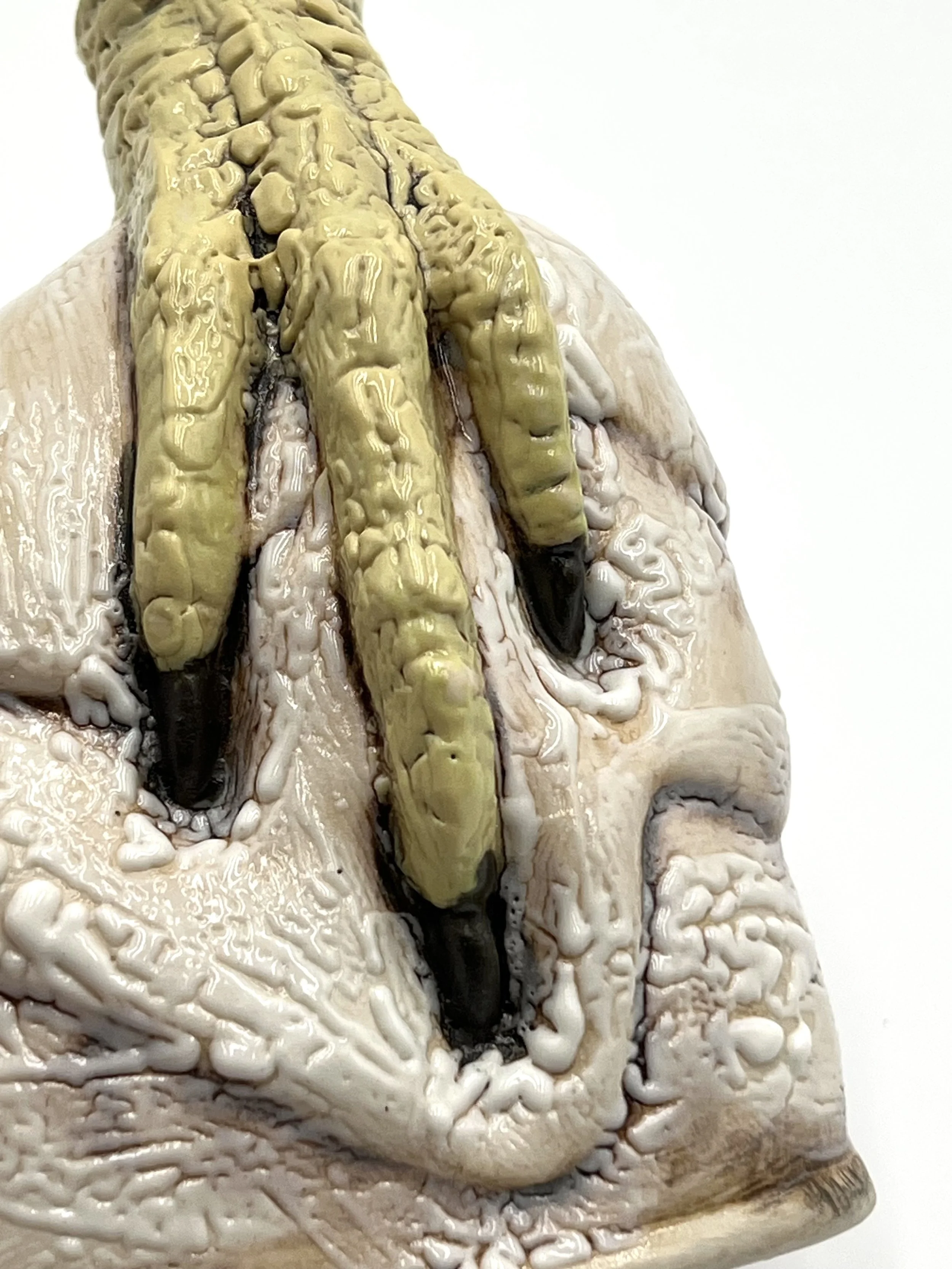 crawl claw flask 1.jpg