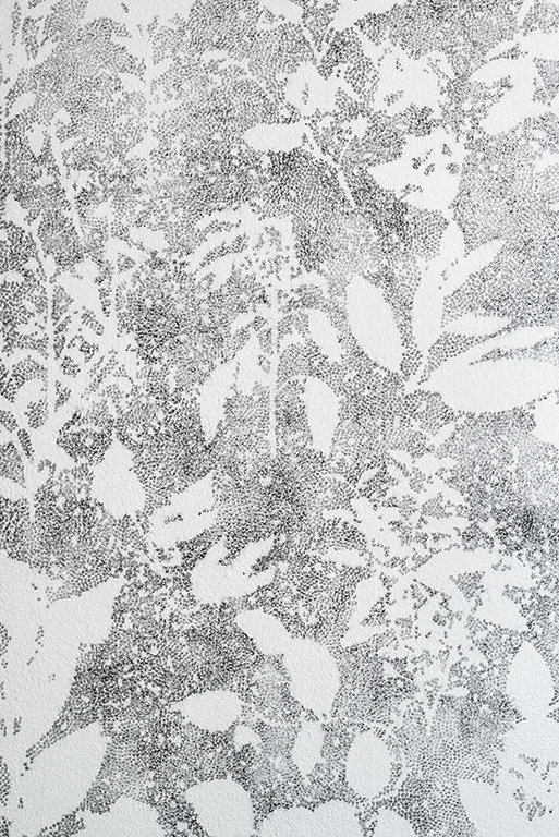 Silhouette Dusting (detail)