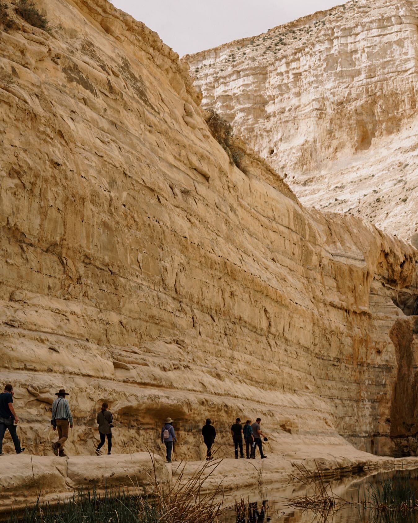 Hiking through the Wilderness of Zin. In these deep canyons, surrounded by high cliffs and jagged rock it&rsquo;s a true wonder to imagine the Israelites roaming here for 40 years&mdash; if you feel like you are in a season of roaming, be reminded to