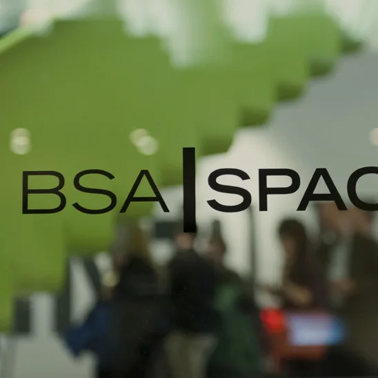 2012-02-09_bsa-001-edit_sq copy.jpg