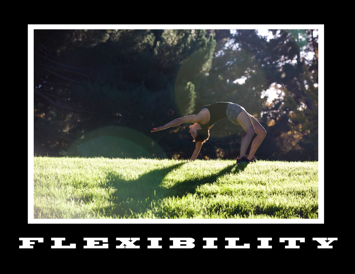 03_Flexibility.jpg