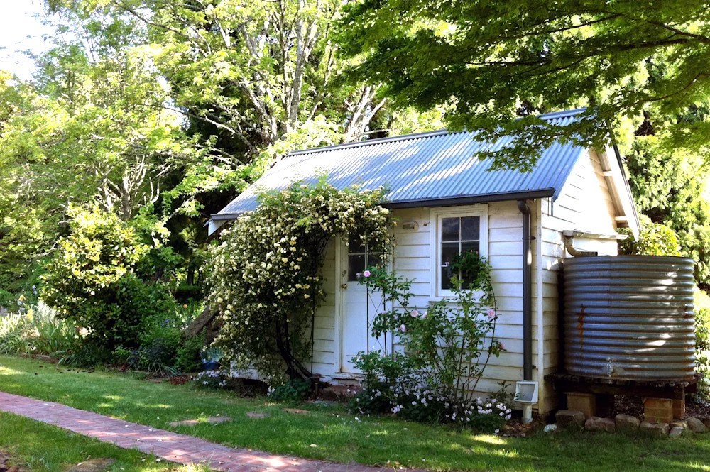 withy baby house.jpg