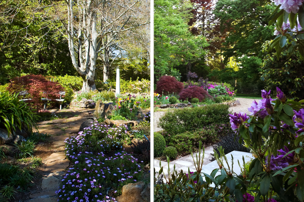 withycombe doubletake3.png