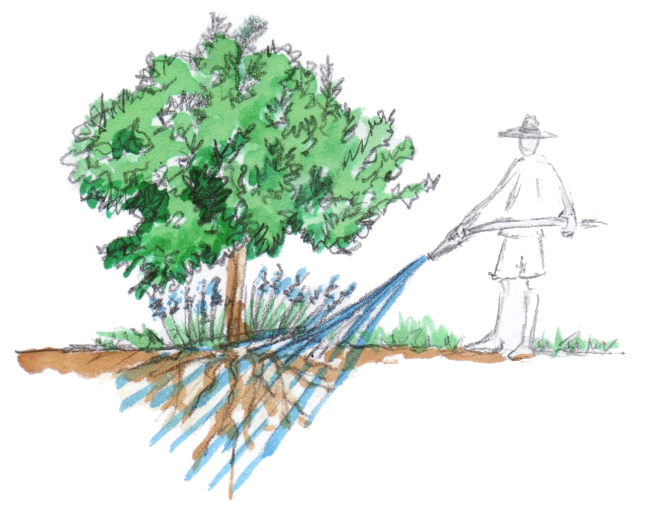 Watering wisely4.png