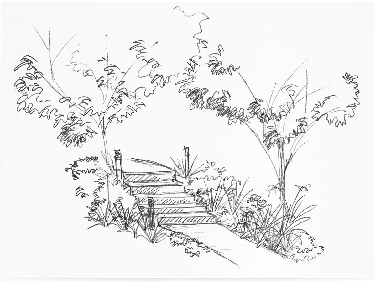 pathways lilli pilli.jpg