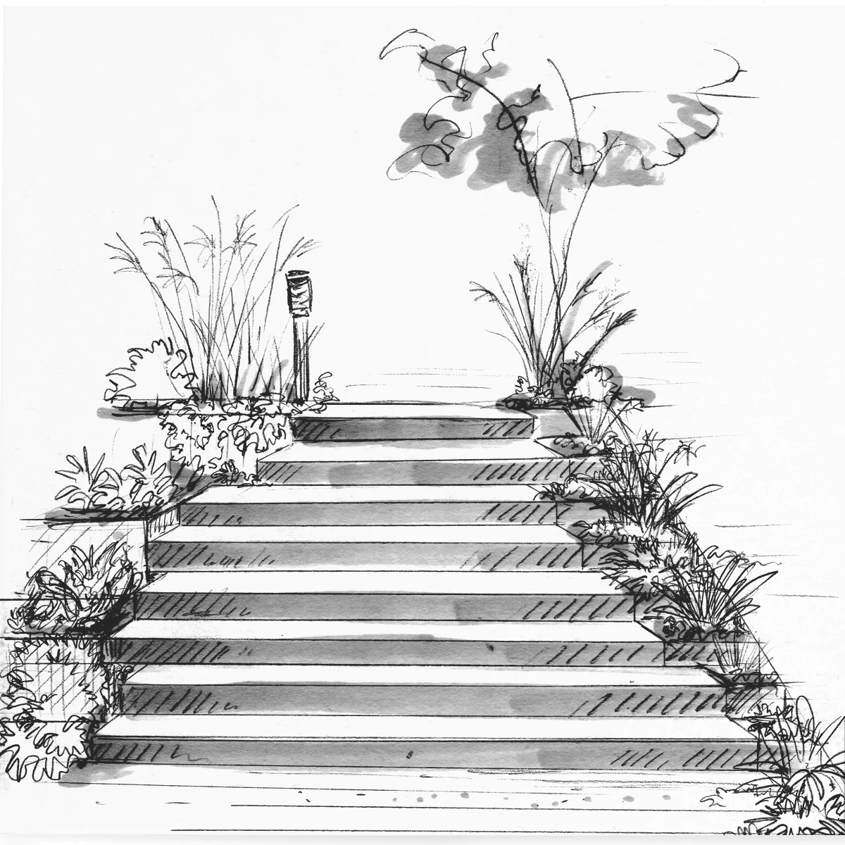 pathways lillipilli 2.jpg