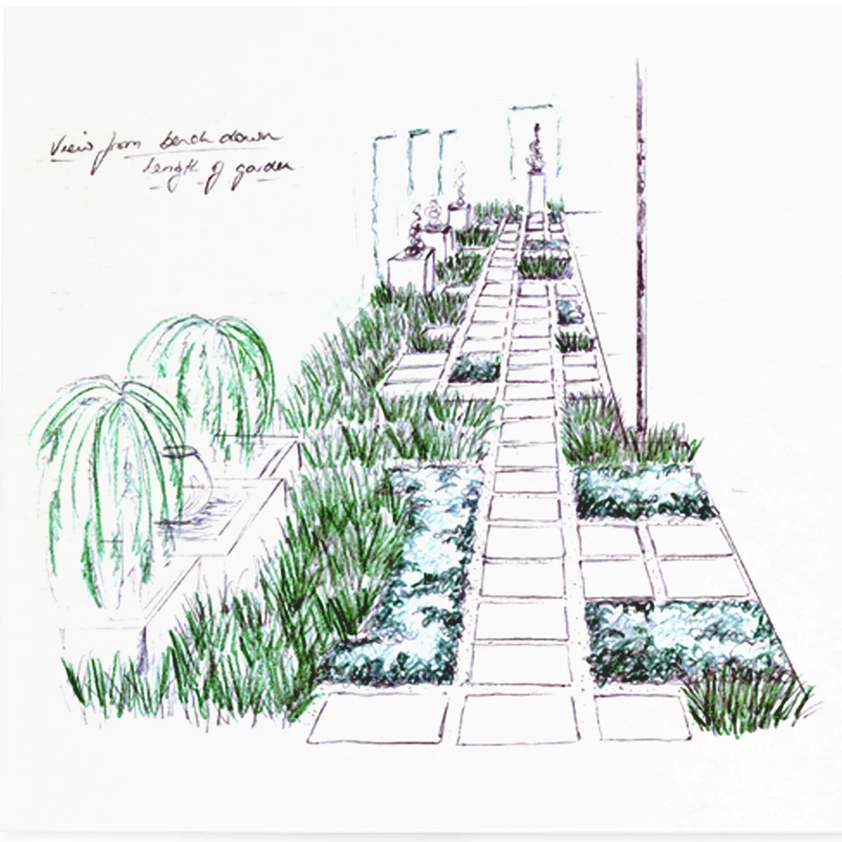 pathways mosman paper 2.jpg