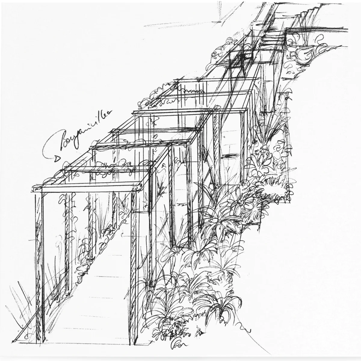 pathways cremorne2.jpg