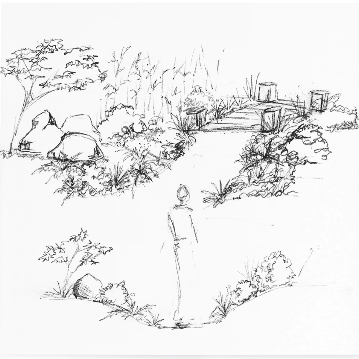 pathways into jungle.jpg