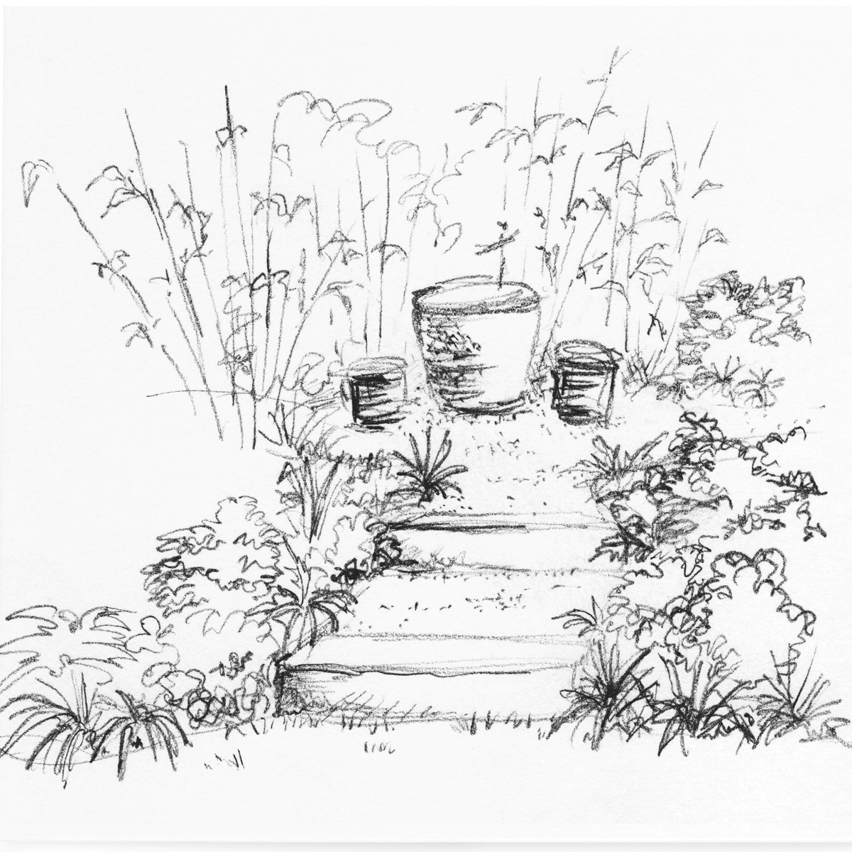 pathways 3 steps.jpg