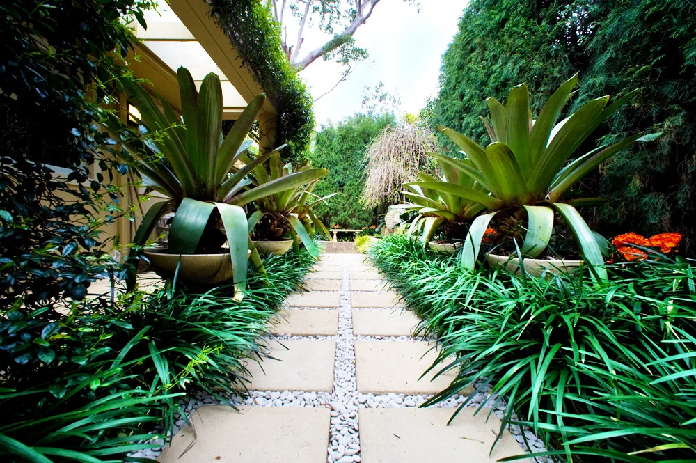 landsberg garden design mosman.jpg